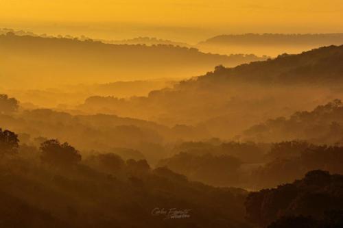 Carlos Expósito - Turismo Verde Guías de Naturaleza