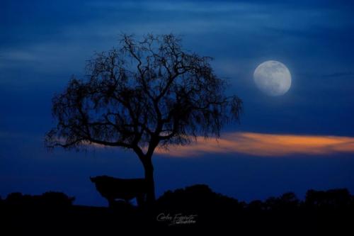 Carlos Expósito - Turismo Verde Guías de Naturaleza